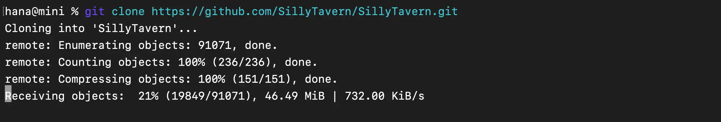 Silly Tavern起動 - ターミナルでの実行画面